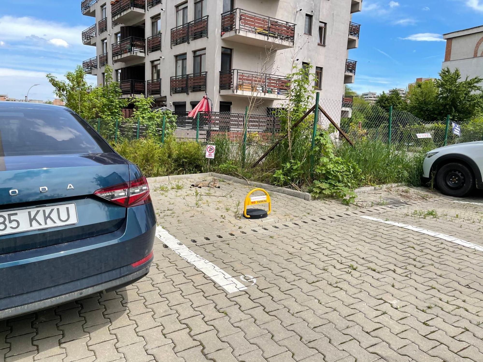 Relax Cluj Apartment And Terrace Екстериор снимка